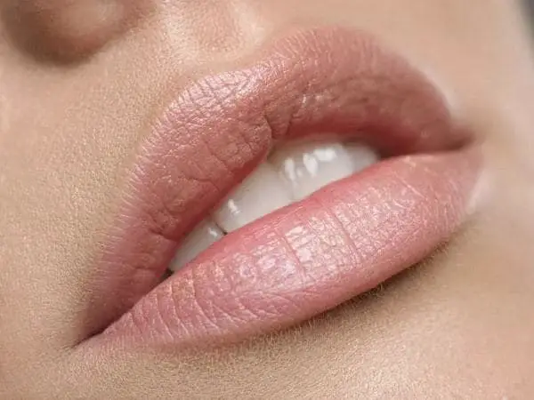 Nude pink Lipstick for Olive Skin
