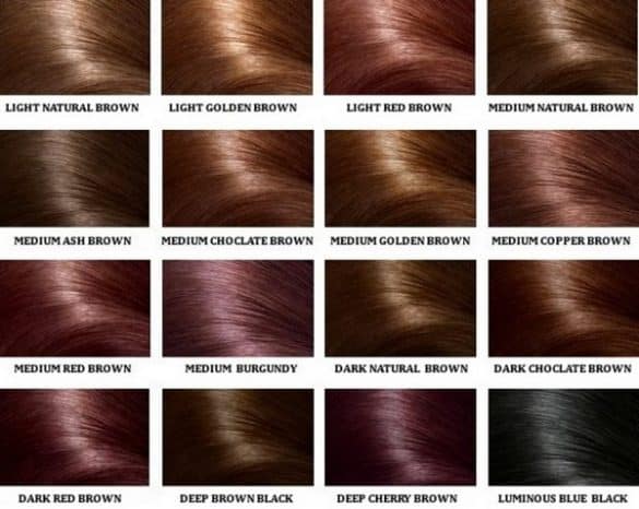 Best Golden Brown Hair Dye – Brands and Shades for Light and Dark Hair