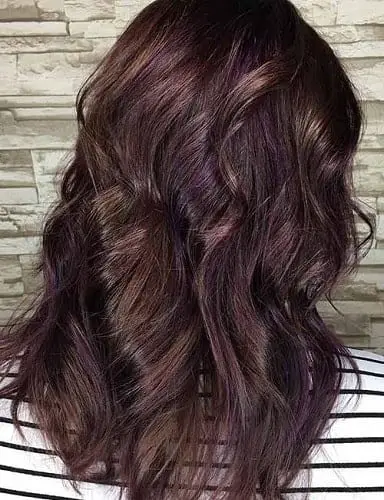  intriguing purple brown hair color 