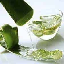 Sun Poisoning Home Remedies-Aloe Vera Gel