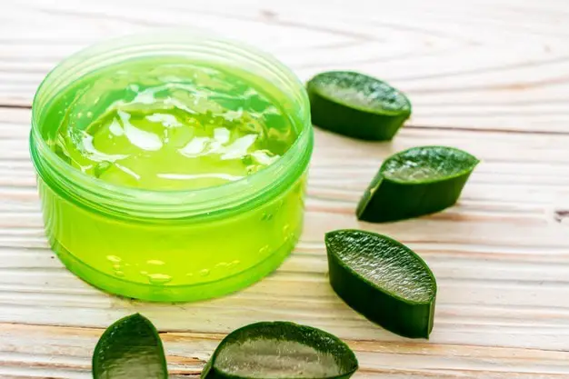 Sun Poisoning Home Remedies for Rash, Blisters and Itching aloe vera