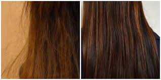 Picture before and after coconut oil for hair treatment