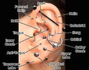 Ear piercing types diagram ideas