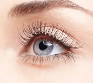 Do eyelashes grow back after lash extension